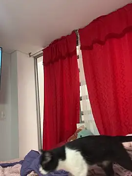 larsonbeverly online show from 04.21.26