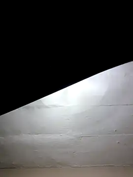 mileesha online show from 01.17.26