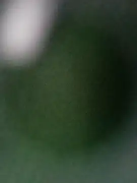 Snapshot of Punam_ji chatting on 10.28.25 Punam ji online show from 10.28.25