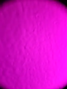 Snapshot of Michou02xXx chatting on 02.18.26 Michou02xXx online show from 02.18.26