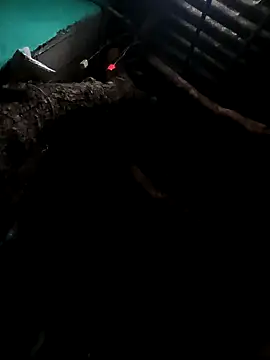 Suhana pandit online show from 09.29.25