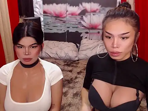 WILDROXIE online show from 12.15.25