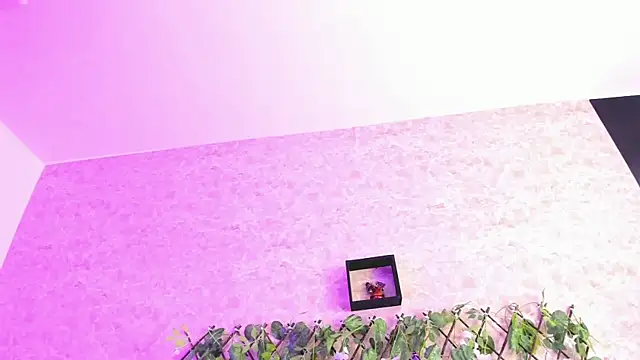 Snapshot of ImEmily444 chatting on 10.04.25 ImEmily444 online show from 10.04.25