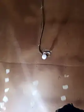 lucho2328 online show from 10.29.25