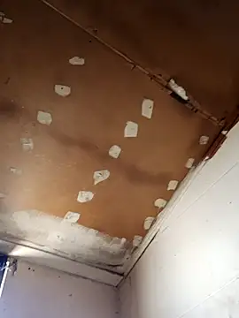 lucho2328 online show from 11.11.25