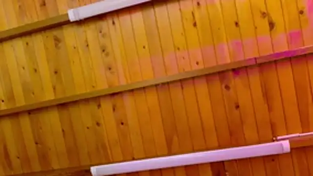 Lizbeth Rouse online show from 01.12.26