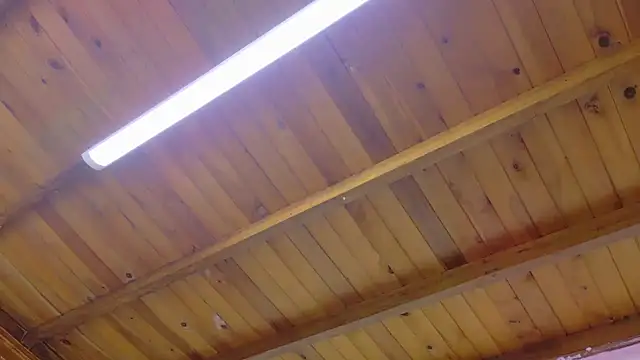 Lizbeth Rouse online show from 01.13.26