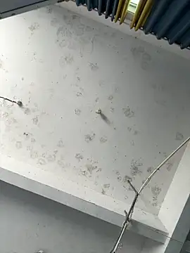 Snapshot of coco-o chatting on 09.26.25 coco-o online show from 09.26.25