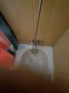 tonipit online show from 12.14.25