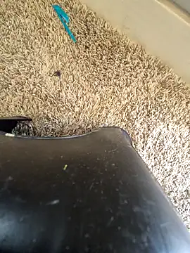 EsDezz88 online show from 03.22.26