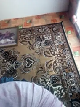 Romashka33011 online show from 03.02.26