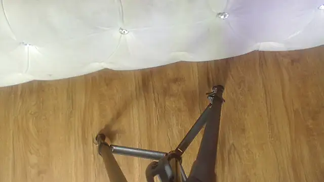 RylieRoss online show from 11.27.25