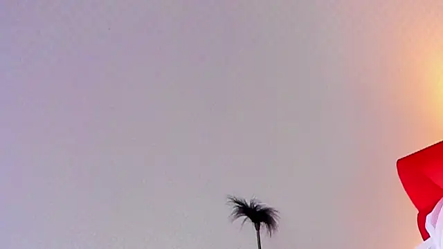 Lillie Berry online show from 10.25.25