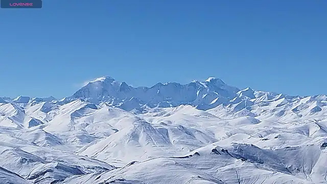 Snapshot of invention2025 chatting on 11.25.25 invention2025 online show from 11.25.25