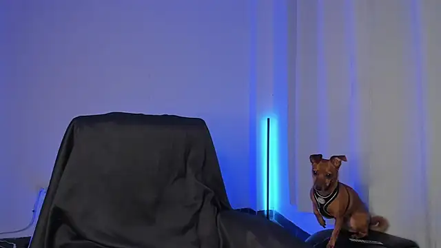 Snapshot of nathan_blake chatting on 12.19.25 nathan blake online show from 12.19.25