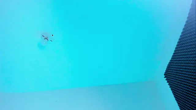 Im naho online show from 10.22.25