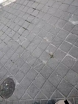 xxxfeo online show from 04.09.26