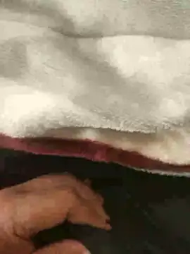 Snapshot of mM0140 chatting on 01.13.26 mM0140 online show from 01.13.26