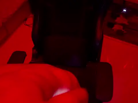 Snapshot of GoldyDong chatting on 09.20.25 GoldyDong online show from 09.20.25