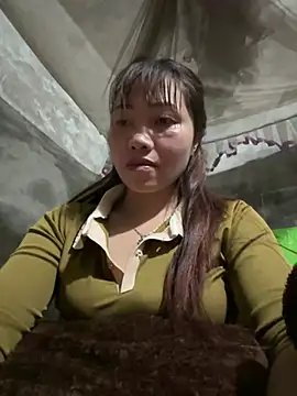 adbosa 00 online show from 03.12.26