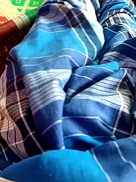 dolphiinn online show from 11.14.25