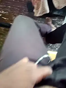 dolphiinn online show from 11.27.25