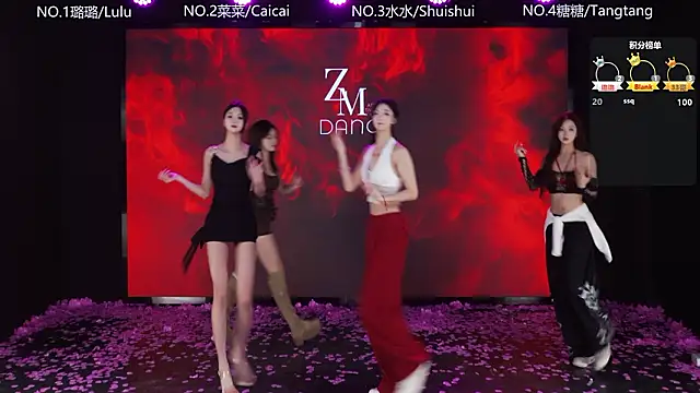 Snapshot of SK-001 chatting on 02.05.26 SK-001 online show from 02.05.26