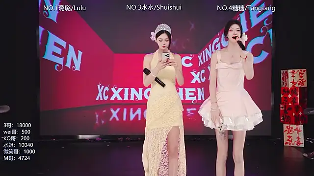 Snapshot of SK-001 chatting on 03.01.26 SK-001 online show from 03.01.26