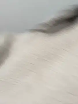 Victoria alson online show from 02.19.26