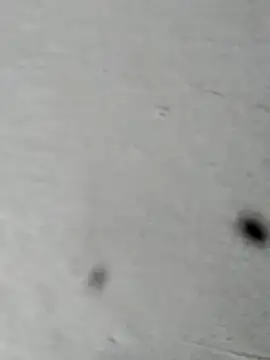 Mollysdick online show from 04.16.26