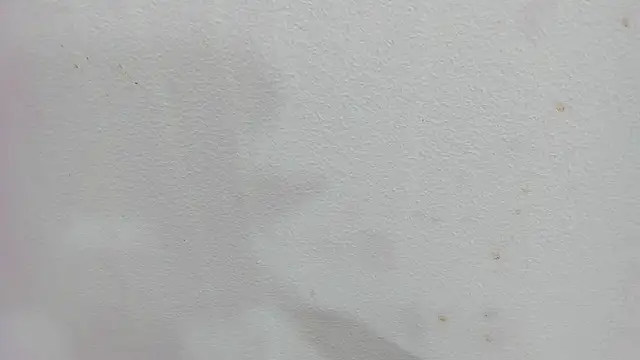 scarlett646 online show from 12.04.25