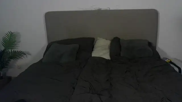 stelli 99 online show from 10.18.25