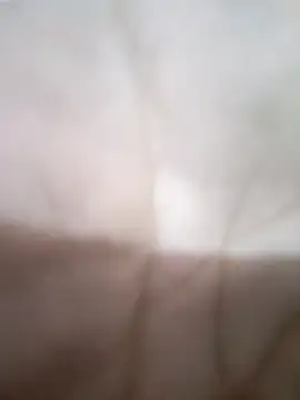 KitedSeizure online show from 01.17.26