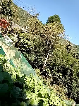 Snapshot of Maymay0033 chatting on 11.29.25 Maymay0033 online show from 11.29.25