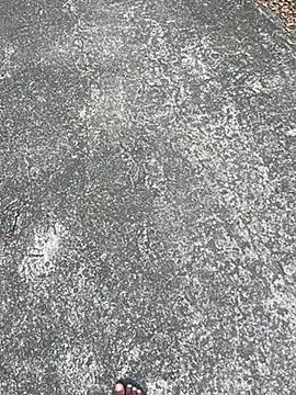 Senurak99 online show from 11.16.25