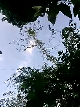 Snapshot of susi-love00 chatting on 10.18.25 susi-love00 online show from 10.18.25