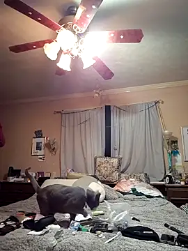 Snapshot of mresquared chatting on 03.25.26 mresquared online show from 03.25.26