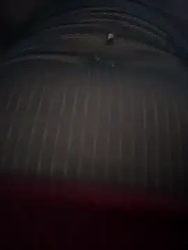 Gaby-Herrera online show from 03.28.26