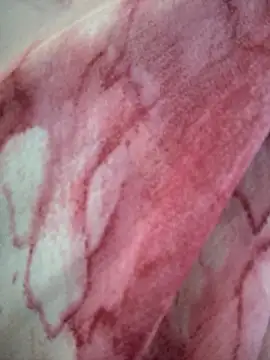 Monika thakurr online show from 04.05.26