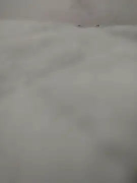 safadomoreno online show from 04.12.26