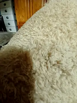 Snapshot of Ahalm chatting on 11.16.25 Ahalm online show from 11.16.25