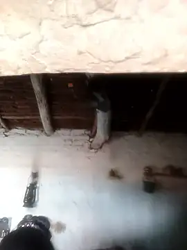 Sheema tyagi online show from 10.21.25