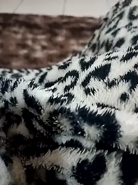 Gauderio40 online show from 11.21.25