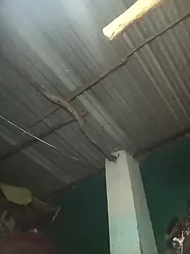 Hot-honi online show from 09.19.25