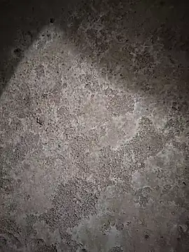 sexy  girls98 online show from 02.06.26