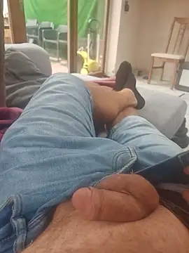 stunning stallion online show from 09.09.25