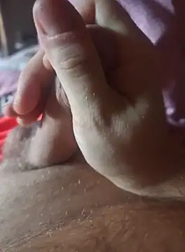 stunning stallion online show from 10.08.25