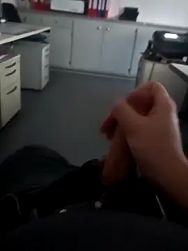 stunning stallion online show from 02.08.26