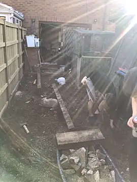 jaycoy22 online show from 04.06.26