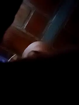 Perropa online show from 02.07.26